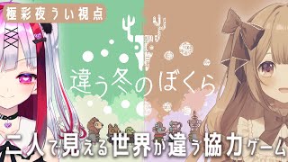 【 違う冬のぼくら＃2 】お互いの世界の見え方が違う！？二窓推奨の不思議な協力ゲームをういミルで攻略！【Vtuber極彩夜うい】