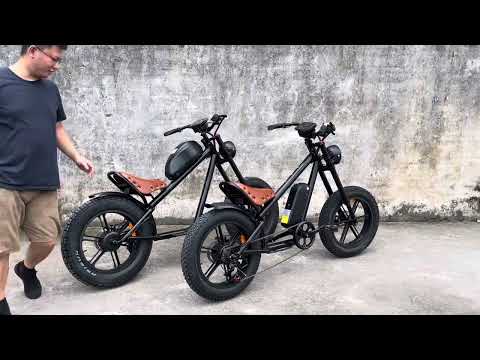 Rooder Electric bike 48v 20ah wholesale price