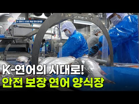 안전 보장 연어 <strong>양식장</strong> [생방송 굿모닝 대한민국] | KBS 260930 방송