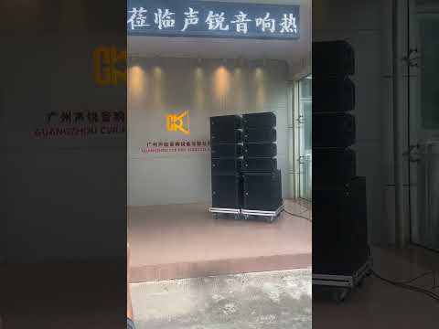 CVR double 8 inch line array