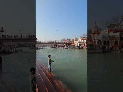 Haridwar 25 February Video, #youtubeshorts, #shortsvideo