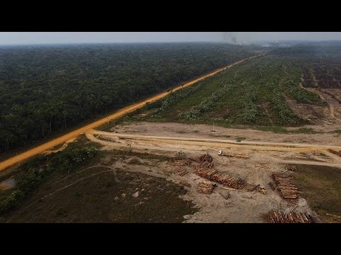 Brazília: csúcsra járatott erdőírtás a kormányváltás előtt