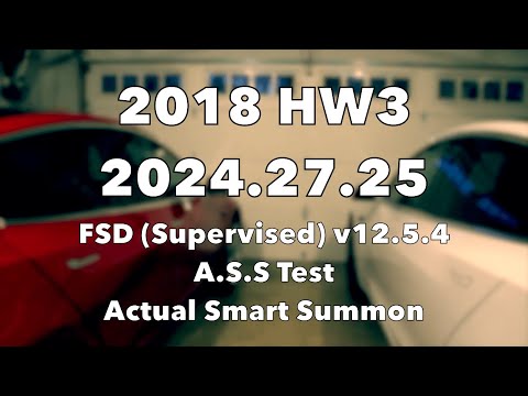 Tesla Software Update A.S.S | Hardware 3 2018 Model 3 FSD v12.5.4