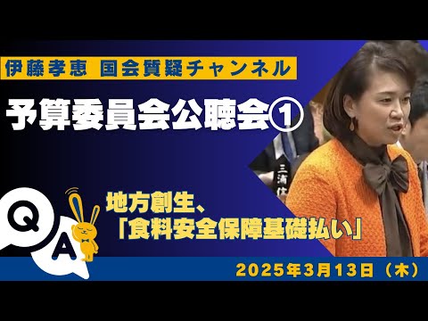 20250313 予算委員会公聴会①