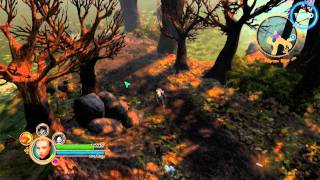 Dungeon Siege III