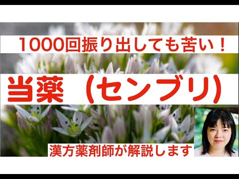 當藥(センブリ)