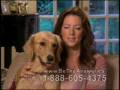 Sarah Mclachlan Spca Commercial Youtube