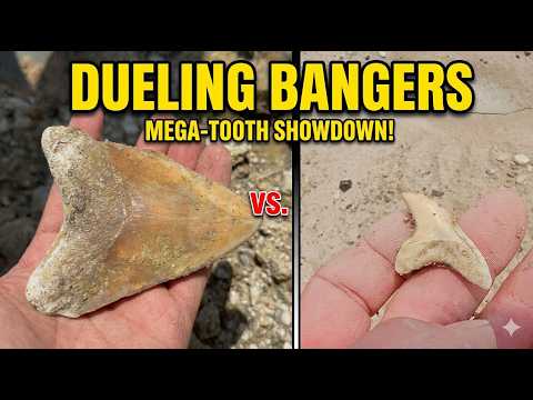 Dueling Bangers