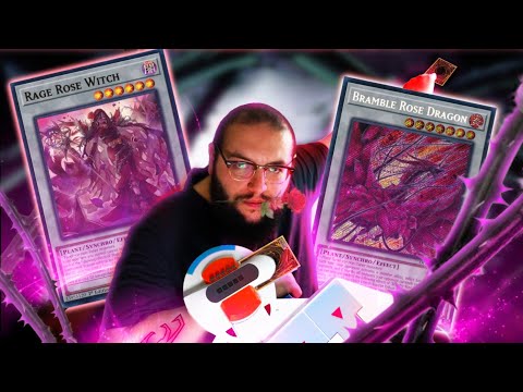 BLACK ROSE DRAGON AZAMINA DECK PROFILE & COMBOS - LA BEAUTÉ QUI DÉTRUIT TOUT!!