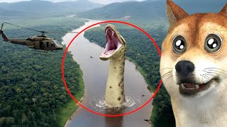 Criaturas Misteriosas da Floresta Amazônica...