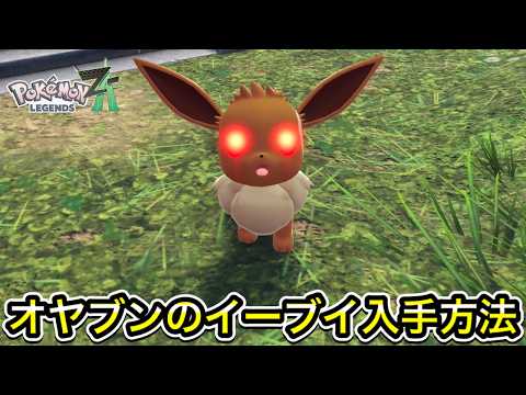 【ポケモンZA】オヤブンのイーブイ入手方法！