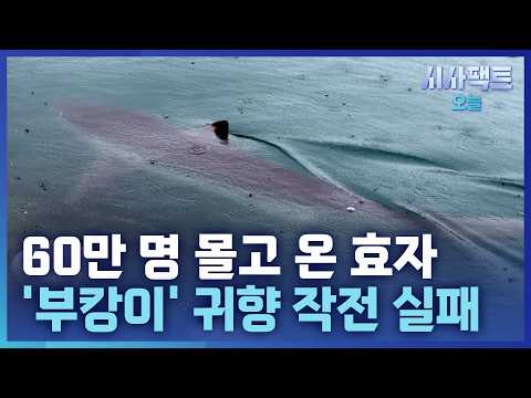 [시사팩트 <strong>오늘</strong>] <strong>부산</strong> 명예홍보대사 된 '부캉이'… 시민들도 배웅 나섰지만 구조작전 실패