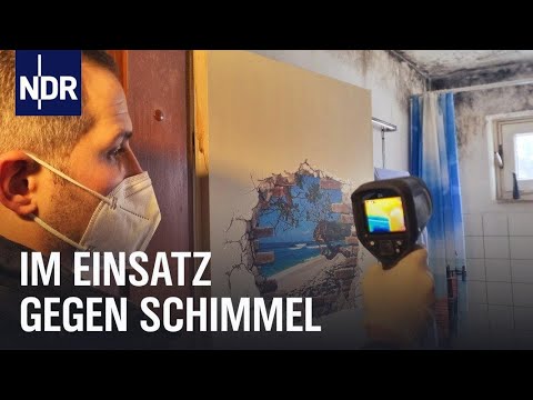 Schimmel im Haus: Gefahr in den eigenen vier Wänden | Die Nordreportage | NDR