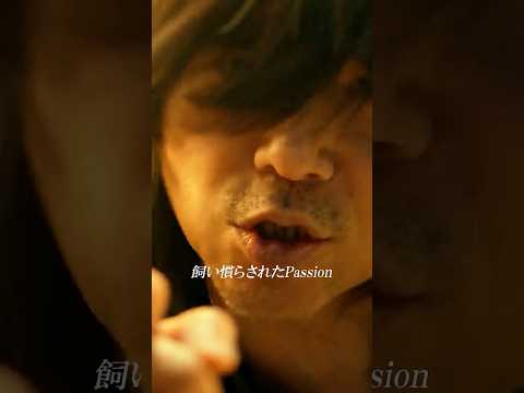 I love 人生！ ミュージックビデオショートバージョン#宮本浩次
