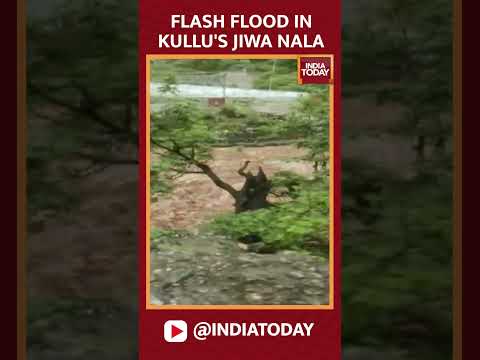 Himachal Pradesh: Cloudburst in Kullu leads to flash floods in Jiwa Nala, alert issued