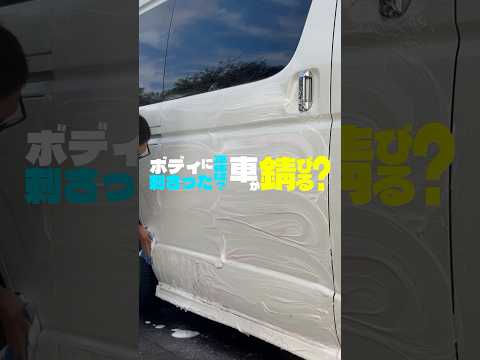 【ボディに刺さった正体は？車が錆びる？】#洗車 #掃除 #手洗い洗車 #鉄粉除去 #車