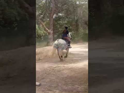 🥹🫶🏼✨💞#modelecapcut #amour#cavalierlife#equestrian