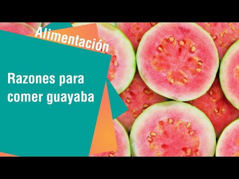 Razones para comer guayaba todos los días | Alimentación