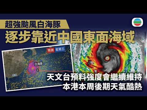 超強颱風白海豚逐步靠近中國東面海　天文台預料強度會繼續維持｜香港兩岸國際新聞｜無綫新聞｜TVB News｜2026/08/03