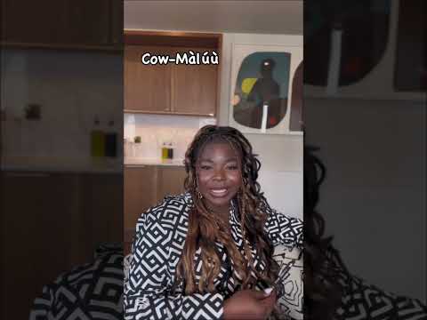 ANIMALS IN YORUBA | Part 3 || Learn Yoruba While You Sleep || Become Fluent Overnight