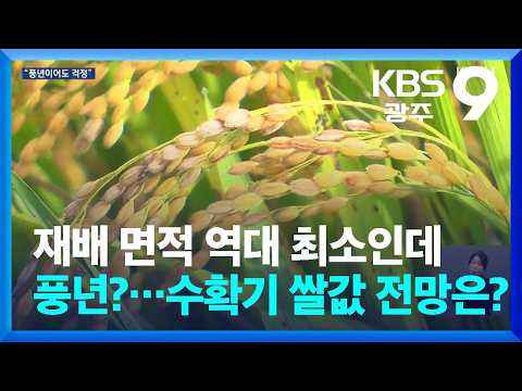 재배 <strong>면적</strong> 역대 최소인데 풍년?…수확기 쌀값 전망은? / KBS  2026.09.29.