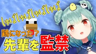 【マイクラ】ニワトリを先輩だと思い込んで安全のため"監禁"するるしあ【ホロライブ切り抜き /潤羽るしあ】