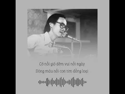 Nối Vòng Tay Lớn 🇻🇳 #trinhcongson #noivongtaylon #vietnam #haokhivietnam #ân