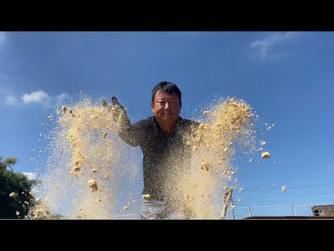 もみ殻と米ぬかを畑に撒くと野菜が大きく育ちます　25/8/20