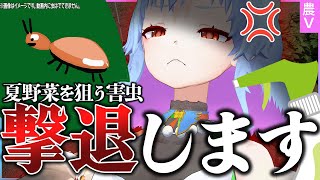 13種類の夏野菜を畑で育てるのは家庭菜園って言いますか？【農業VTuber】