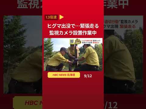 ヒグマ出没で…緊張走る監視カメラ設置作業中　#shorts  #北海道 #ニュース