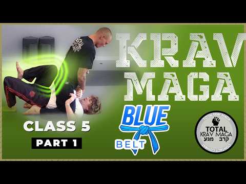 Krav Maga - Blue Belt - Class 5 (Part 1)