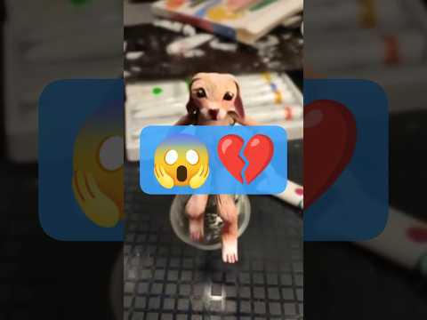 AI Brought My Clay Bunny to Life 🐰🤖 #AI #clayart #animation #bunny #sculpture