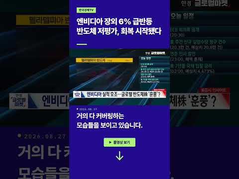 엔비디아 장외 6% 급반등! 반도체 저평가, 회복 시작됐다ㅣ손석우ㅣ김승혁ㅣ윤진