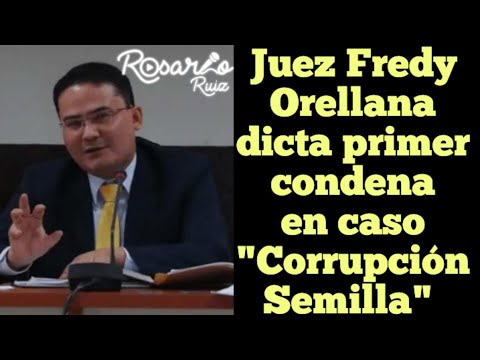 Juez Fredy Orellana Condena a exfuncionario del TSE por caso “Corrupción Semilla”