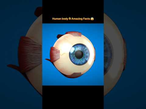 इन्सान की बॉडी के Amazing Facts #facts #shorts