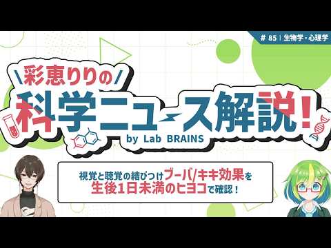 【Lab BRAINS解説】「ブーバ/キキ効果」は生後1日未満のヒヨコにもある!? 先天的な音と形の関連付けを示唆【彩恵りり & KIWAMU】