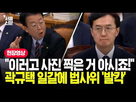 "경박한 사진 찍은 판사 징계해라" 곽규택 '극대노' 호통에 법사위 현장 '발칵'