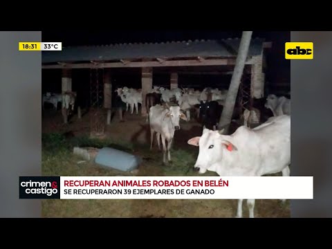 Concepción: recuperan animales robados en Belén