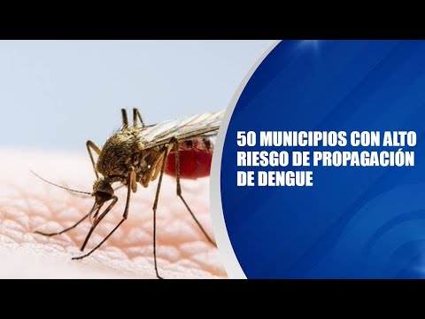50 municipios con alto riesgo de propagación de dengue