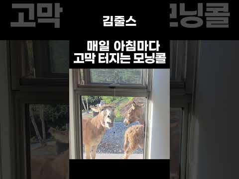 한번도 원한 적 없는... 모닝콜