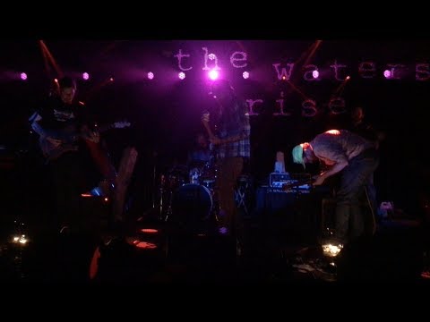 woodgrove Concert Tickets - 2026 Tour Dates.