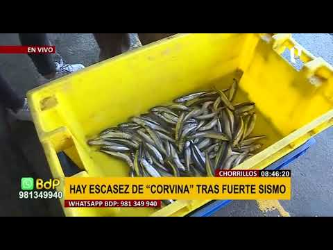 Sismo en Lima también afectó a pescadores: movimiento alejó a peces de las costas