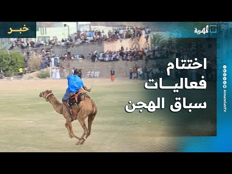حضور جماهيري واسع في اختتام فعاليات سباق الهجن بتريم حضرموت
