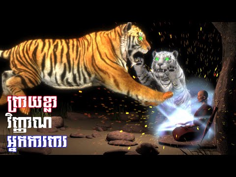រឿង ព្រាយខ្លា វិញ្ញាណអ្នកការពារ l Khmer 71l Khmer 3D Fairy Tales 4K UHD