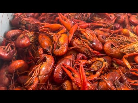 Despite Louisiana’s crawfish shortage, demand is still high