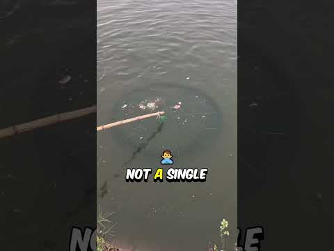 Chinese Way of Fishing