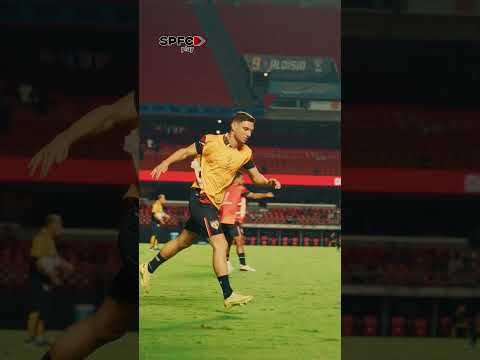 image para ilustrar o artigo