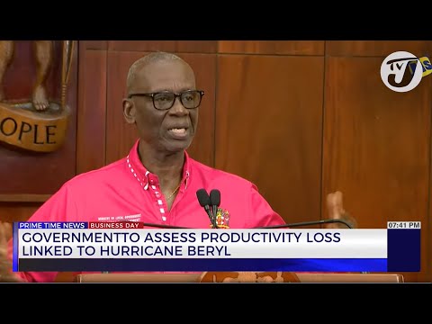 Gov't to Assess Productivity Loss Linked to Hurricane Beryl | TVJ Business Day