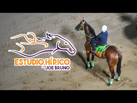 ESTUDIO HIPICO - Viernes 20 De Febrero De 2026