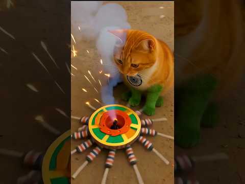 CHHOTU KI CAT NE BANAI SPECAL DIWAL😍funny #comedy #trending #viral #shortfeed #urk_suraj55